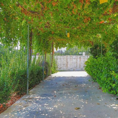 Villa Aphrodite Finiki Polis Exterior photo